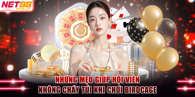 Tài Xỉu Birdcage Là Gì? Hướng Dẫn Tân Binh Chơi Từ A - Z 4 Những mẹo giúp hội viên không cháy túi khi chơi Birdcage